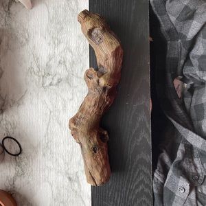 Reptile climbing log